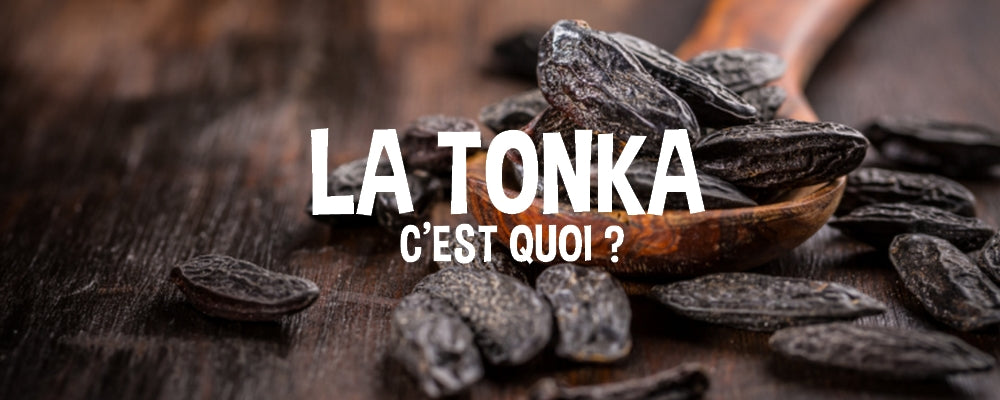 LA FEVE TONKA, UN TRESOR D'AROMES