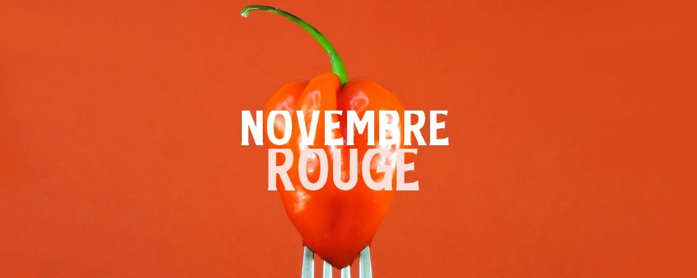 NOVEMBRE ROUGE : Nos évènements du mois