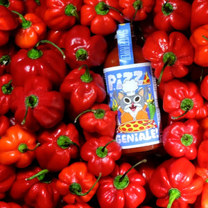 SWEET PEPPER X MASTARI / PIZZA GENIALE